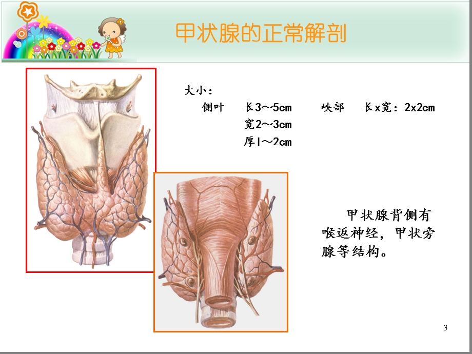 甲状腺结节的超声诊断与鉴别PPT课件.ppt_第3页