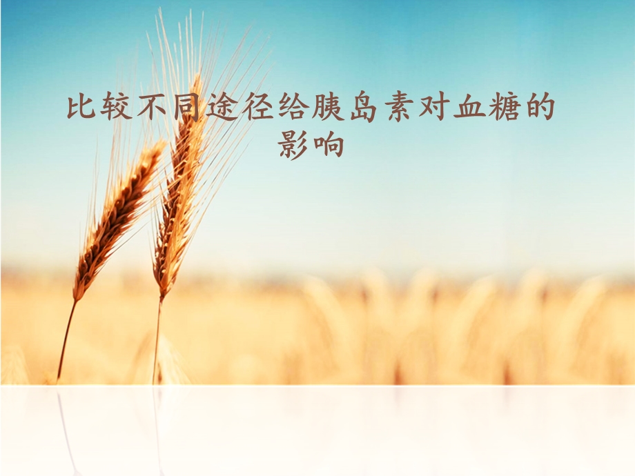 比较不同途径给胰岛素对血糖的影响.ppt_第1页