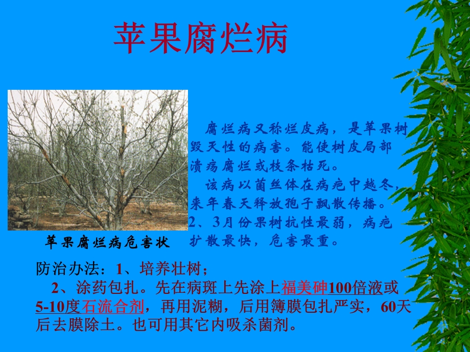 现代苹果病虫害防治技术.ppt_第3页