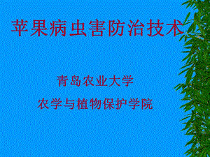 现代苹果病虫害防治技术.ppt