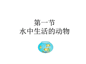 水中生活的动物-其他生活在水中的动物.ppt