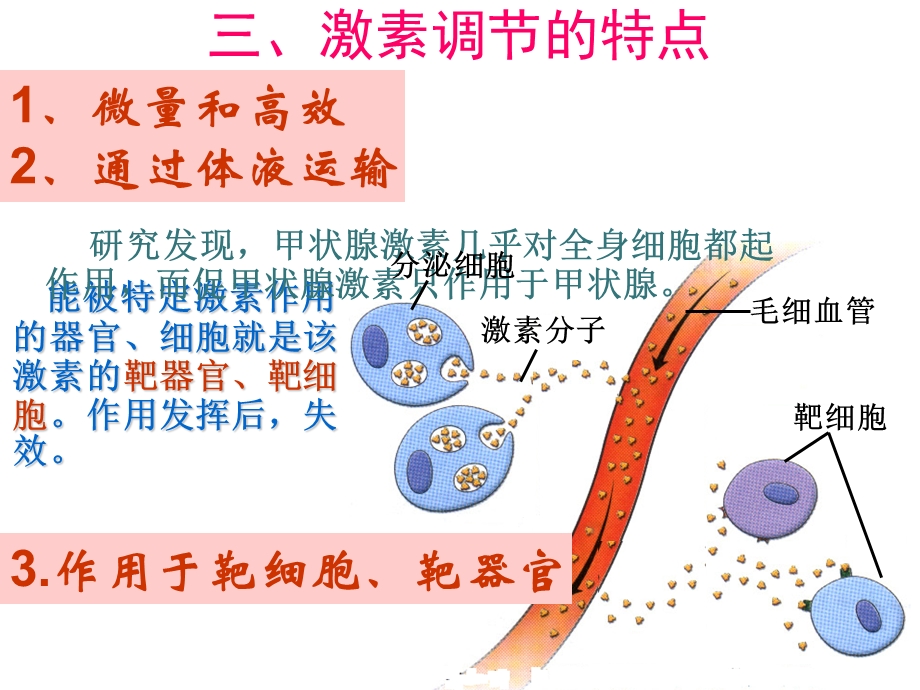 生物第三节《神经调节和体液调节的关系》.ppt_第3页