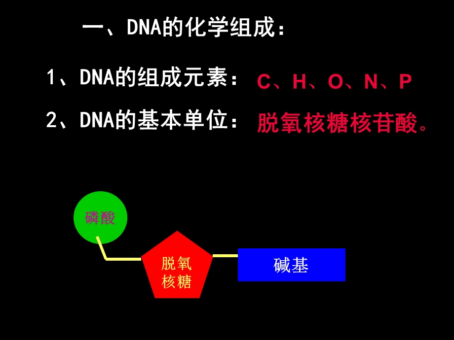 生物课件：DNA分子的结构.ppt_第2页