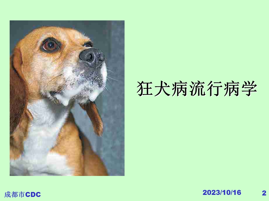 狂犬病防制培训材料成都市.ppt_第2页