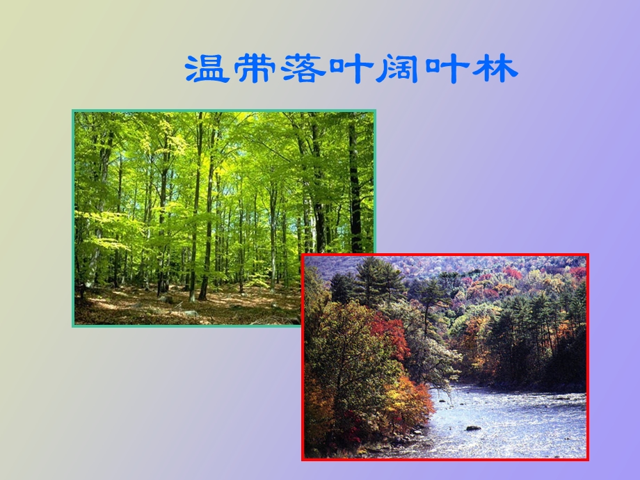 温带植被类型.ppt_第3页