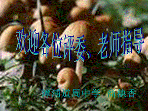 生物细菌-真菌和病毒.ppt