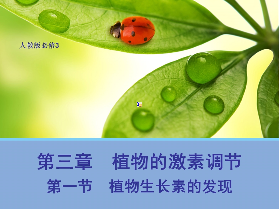 生物31植物生长素的发现最终.ppt_第1页