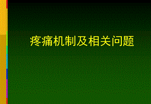 疼痛机制及相关问题.ppt