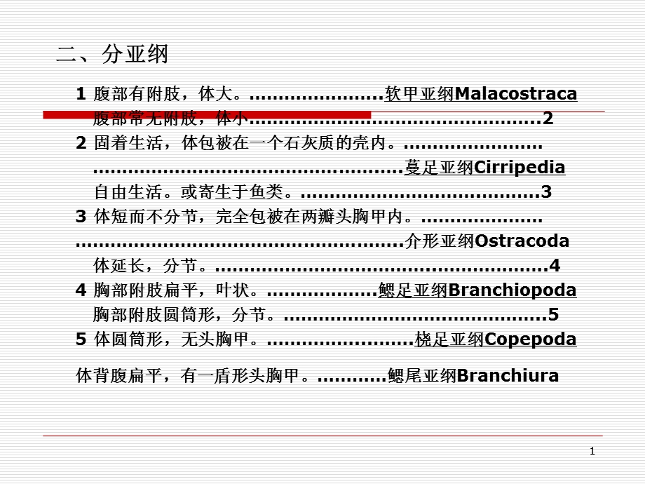 水生生物学节肢动物门-桡足亚纲.ppt_第1页