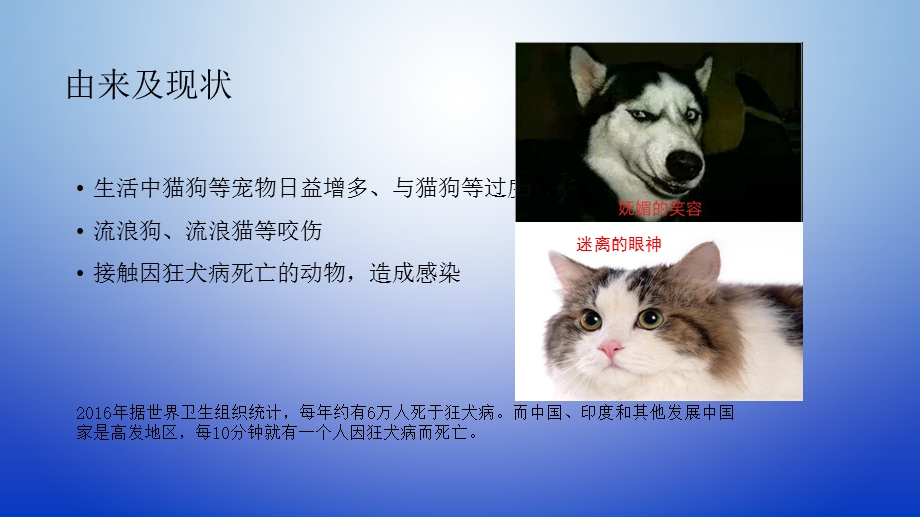 狂犬病预防宣传.ppt_第2页