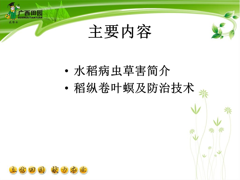 水稻病虫草害简介、卷叶虫及其防治技术.ppt_第2页