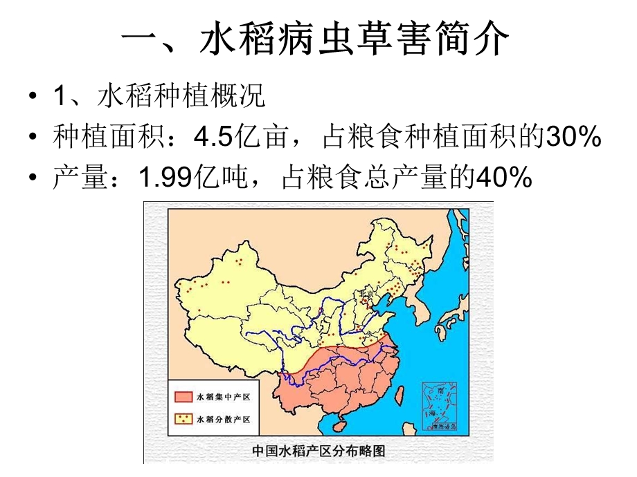 水稻病虫草害简介、卷叶虫及其防治技术.ppt_第3页