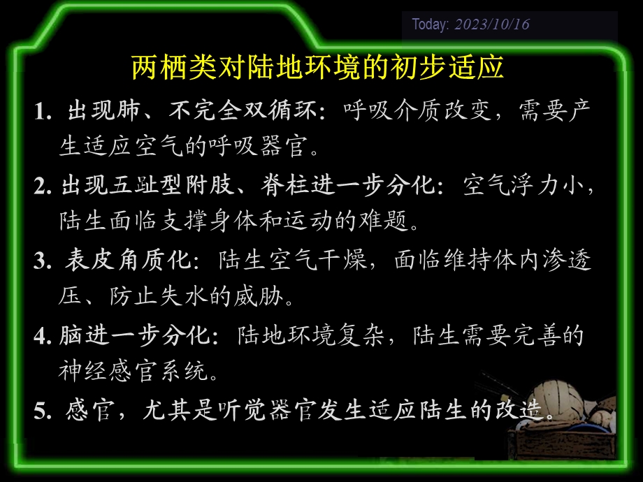 生物学奥赛辅导课件动物学1-两栖纲.ppt_第3页