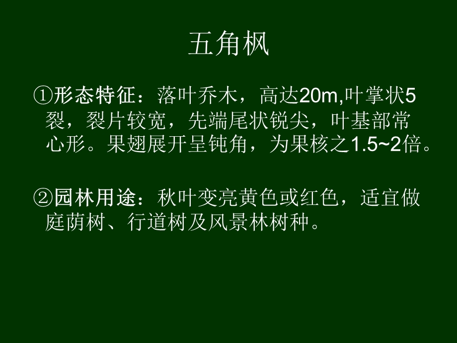 环艺第三章园林树木.ppt_第3页