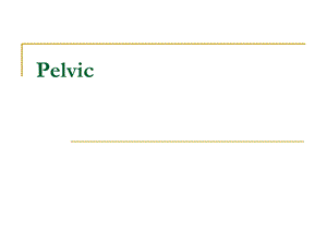 盆腔和会阴部解剖Pelvis-and-perineum.ppt