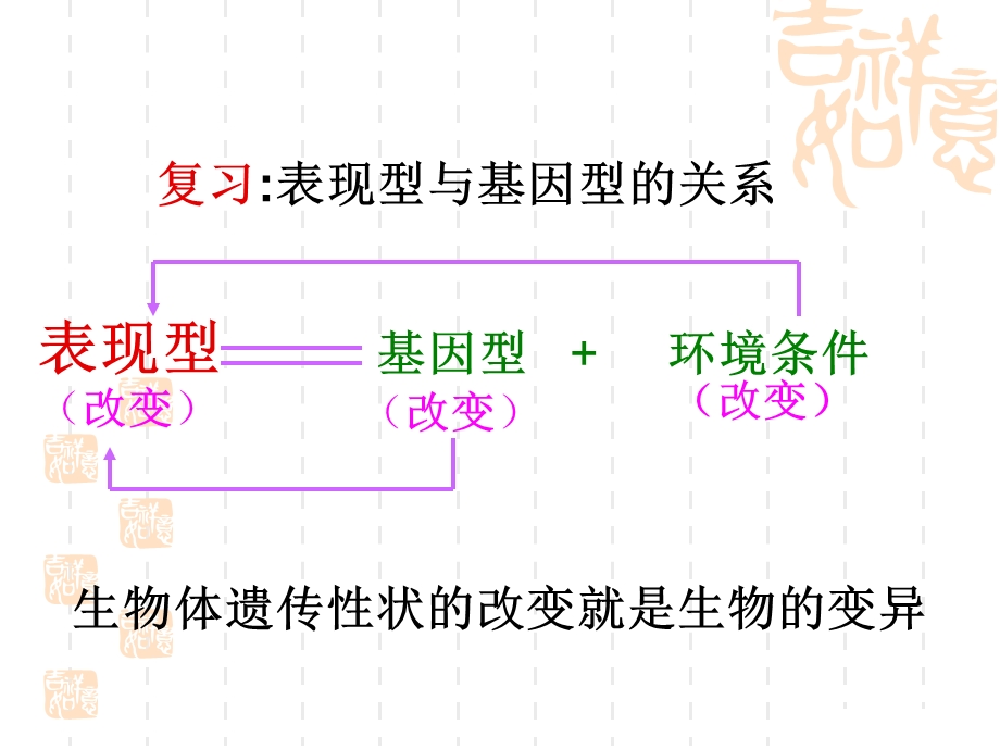 生物基因突变和基因重组人教版必修.ppt_第2页