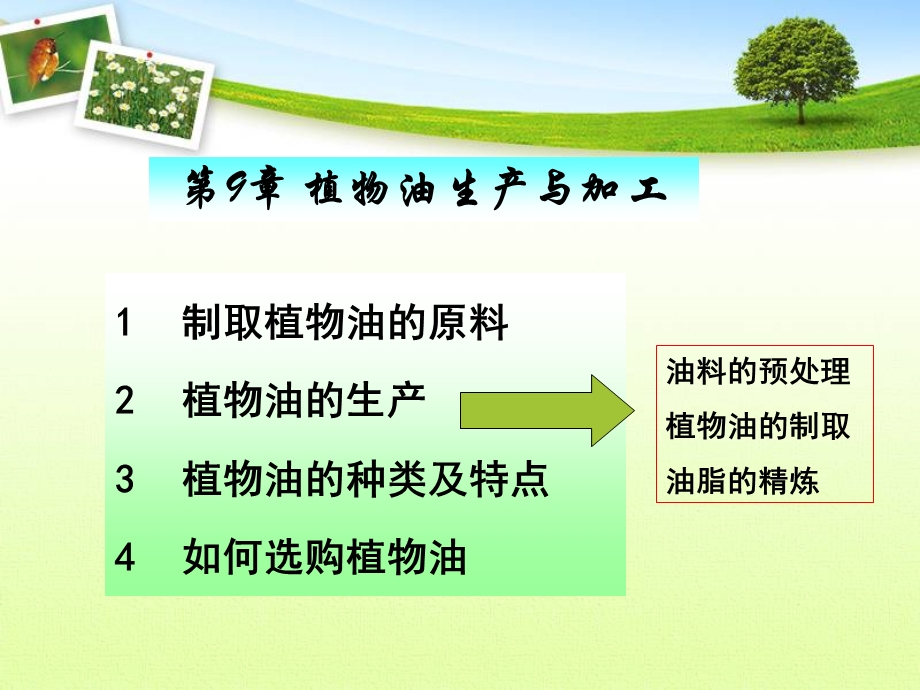 粮油加工课件第九章油脂加工部分.ppt_第1页