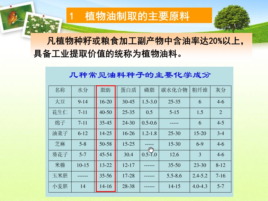 粮油加工课件第九章油脂加工部分.ppt_第3页