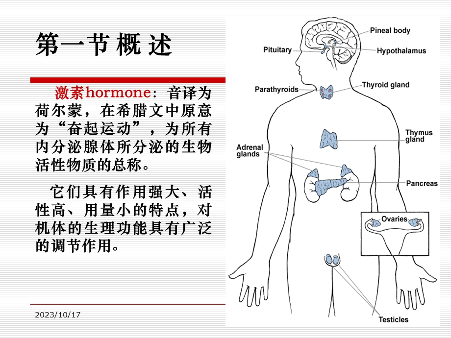 糖皮质激素构效关系.ppt_第3页