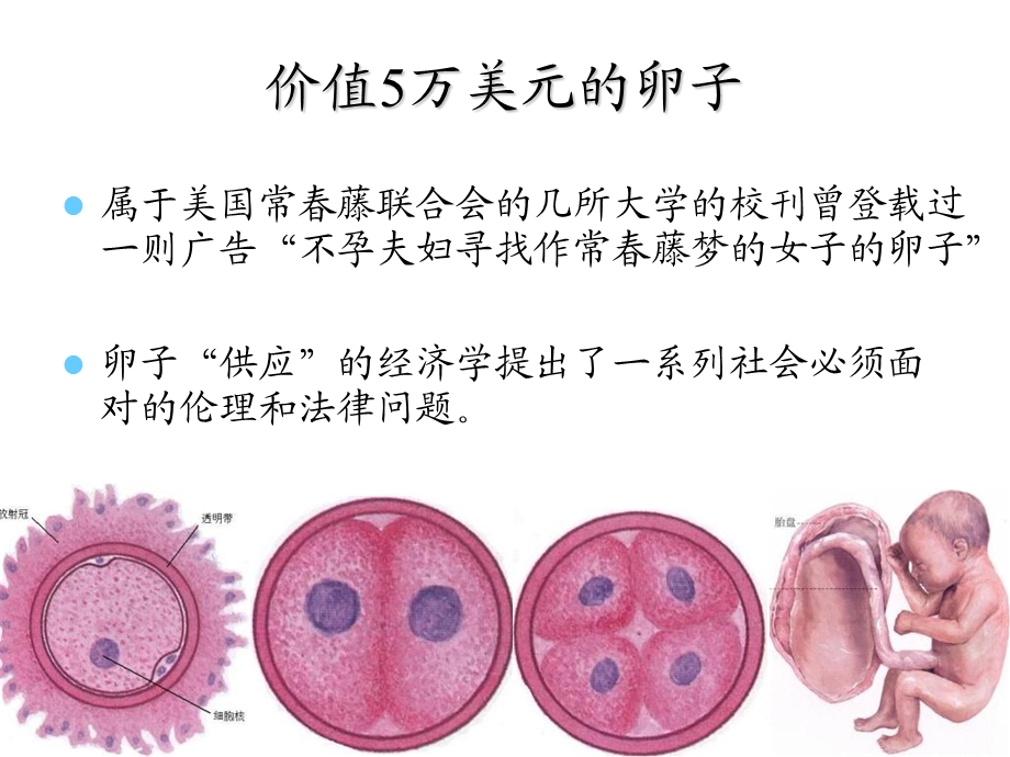 生命的延续-繁殖与遗传.ppt_第1页