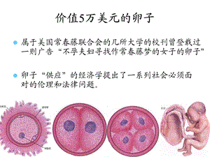 生命的延续-繁殖与遗传.ppt