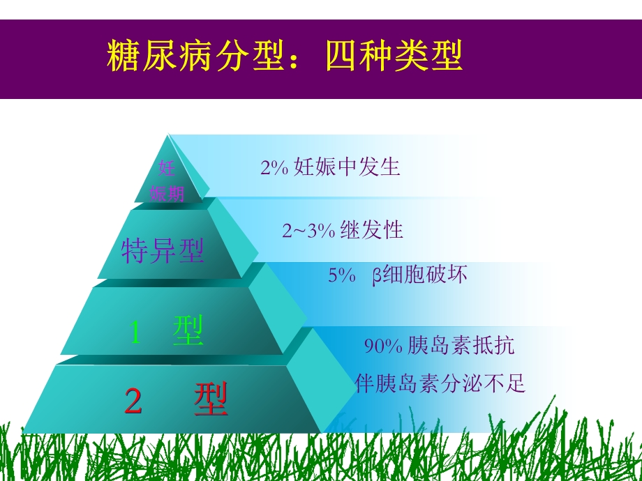 糖尿病药物治疗进展ppt课件.ppt_第2页