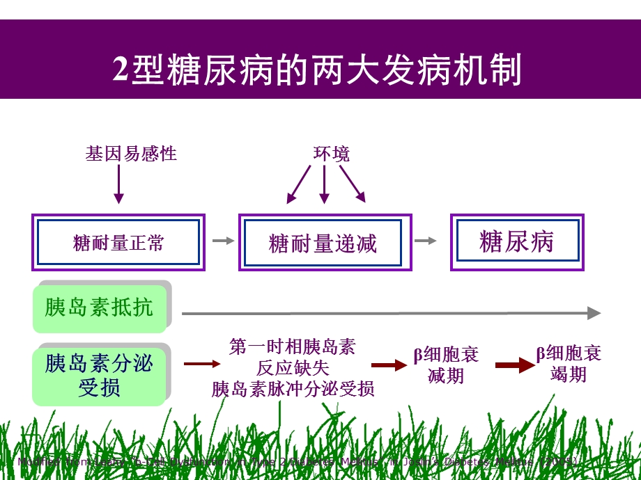 糖尿病药物治疗进展ppt课件.ppt_第3页