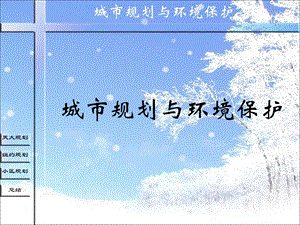 环境小区规划与纽约规划.ppt