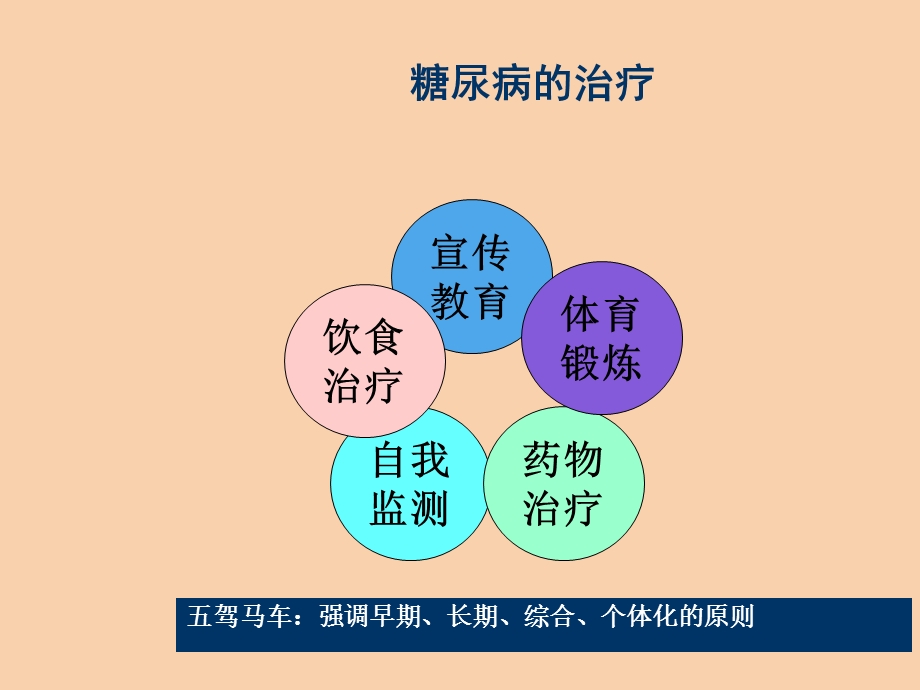 糖尿病治疗篇.ppt_第2页