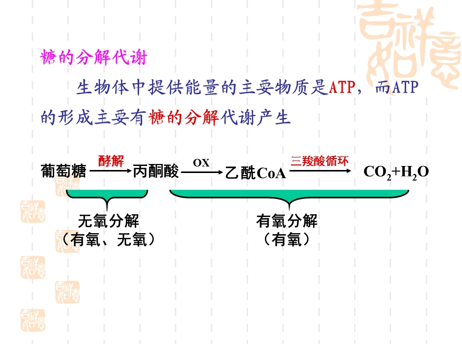 生物化学糖酵解课件.ppt_第2页