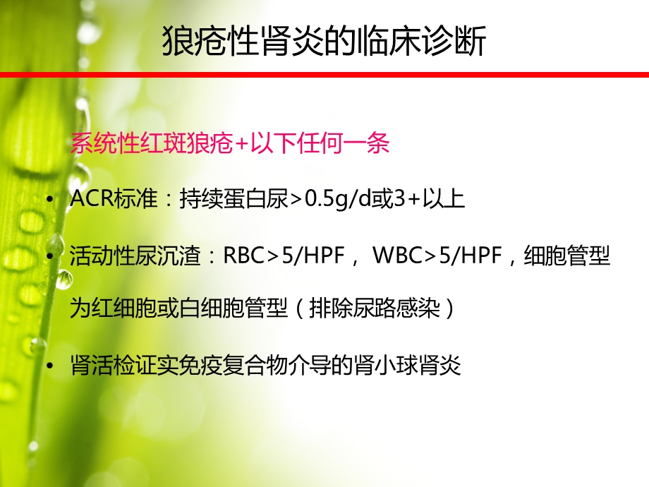 狼疮性肾炎的临床诊治课件.ppt_第3页