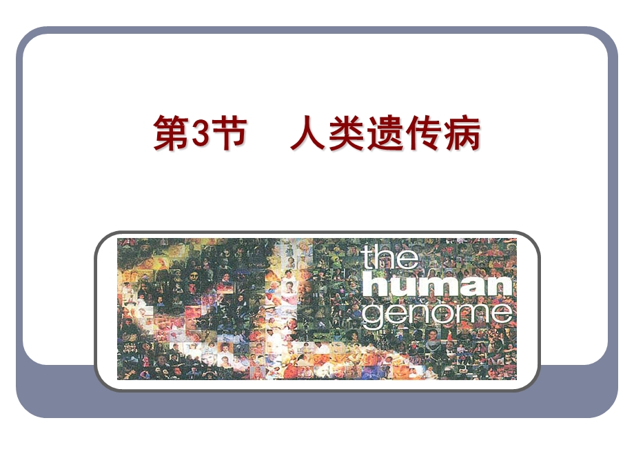 生物必修2第五章人类遗传病课件.ppt_第2页