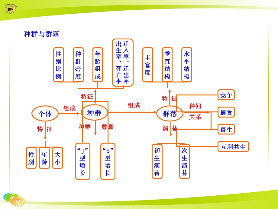 种群与群落知识框架.ppt_第1页