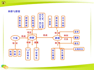 种群与群落知识框架.ppt