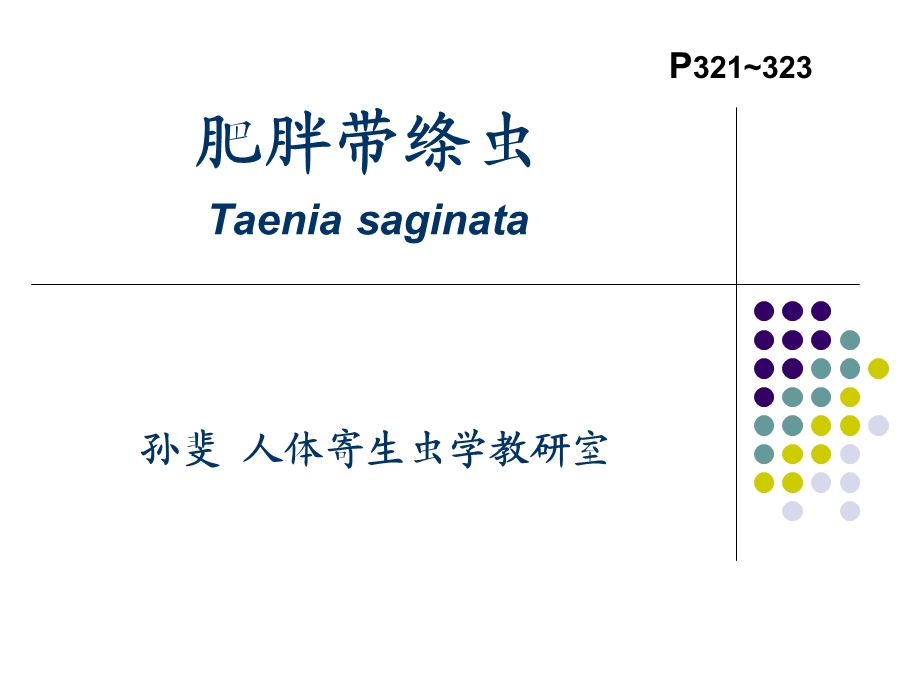 牛带绦虫(肥胖带绦虫).ppt_第1页