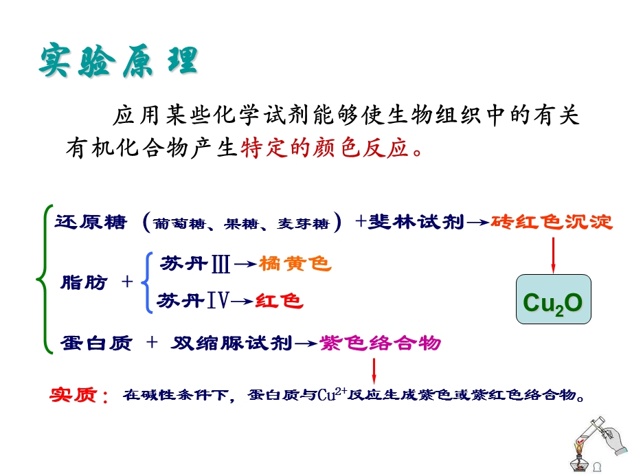 生物必修一实验：检测生物组织中的糖类-脂肪和蛋白质.ppt_第3页