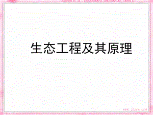 生态工程及其原理.ppt