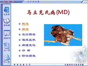 精品课程《禽病学》ppt03鸡马立克氏病.ppt