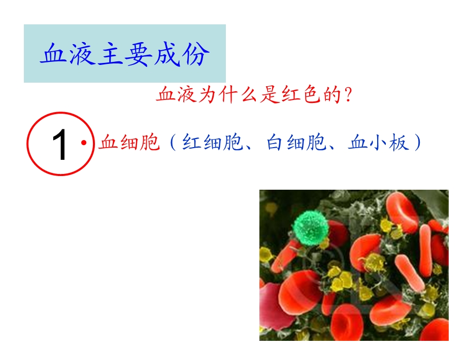 激光与医疗保健带血液.ppt_第2页