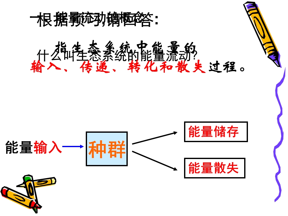 生态系统的能量流动修改.ppt_第3页