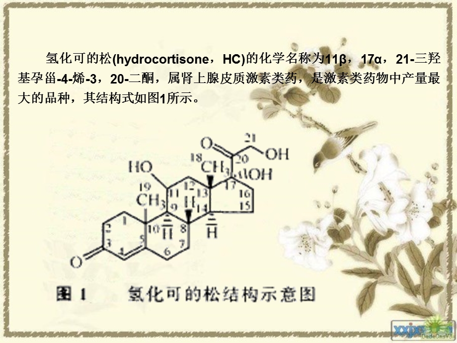 氢化可的松hydrocortisone.ppt_第1页