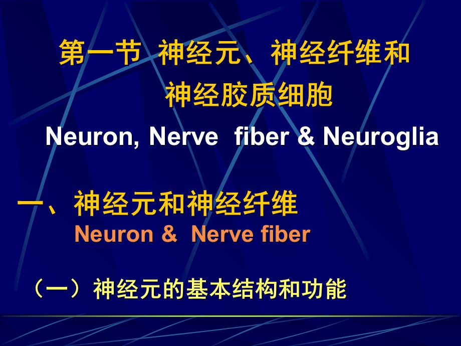 神经系统的功能Functionofthenervoussystem.ppt_第2页