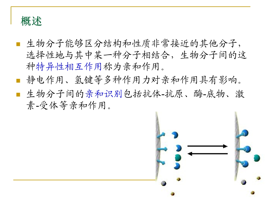 生物分离工程第七章色谱技术-亲和色谱.ppt_第2页