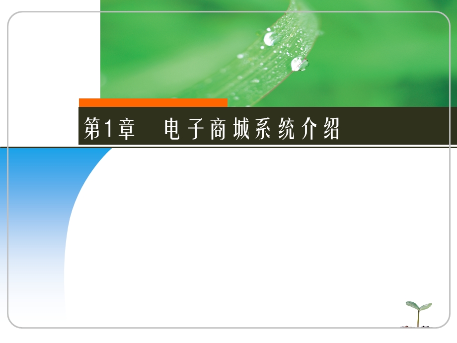 电子商城系统介绍.ppt_第1页