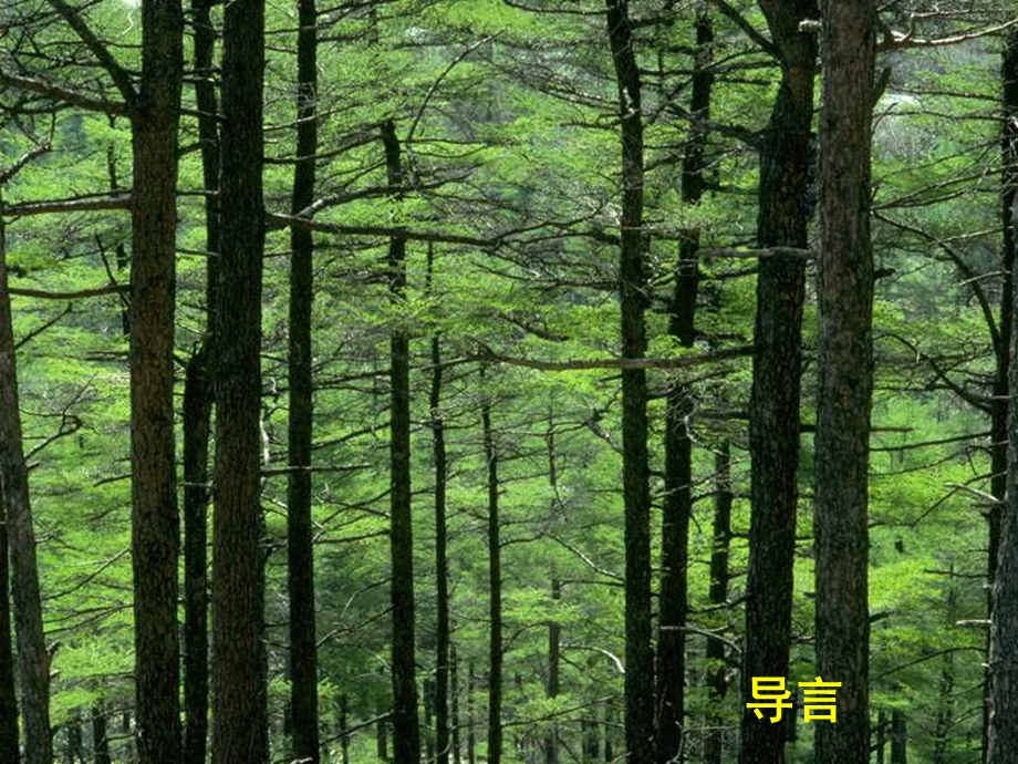 生物上册《生物与环境组成生态系统》课件新人教.ppt_第2页