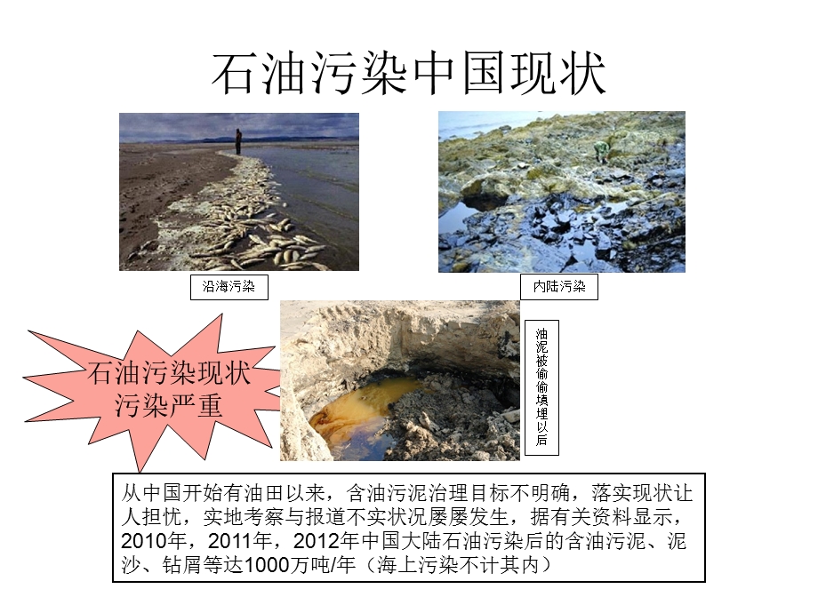 石油污染土壤生物修复方案.ppt_第2页