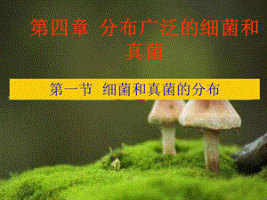 生物第四章第一节细菌和真菌的分布课件人教.ppt