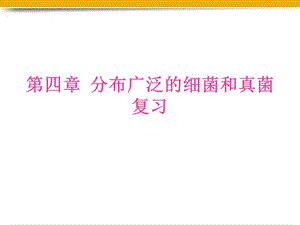 生物上册细菌和真菌复习课件1人教.ppt