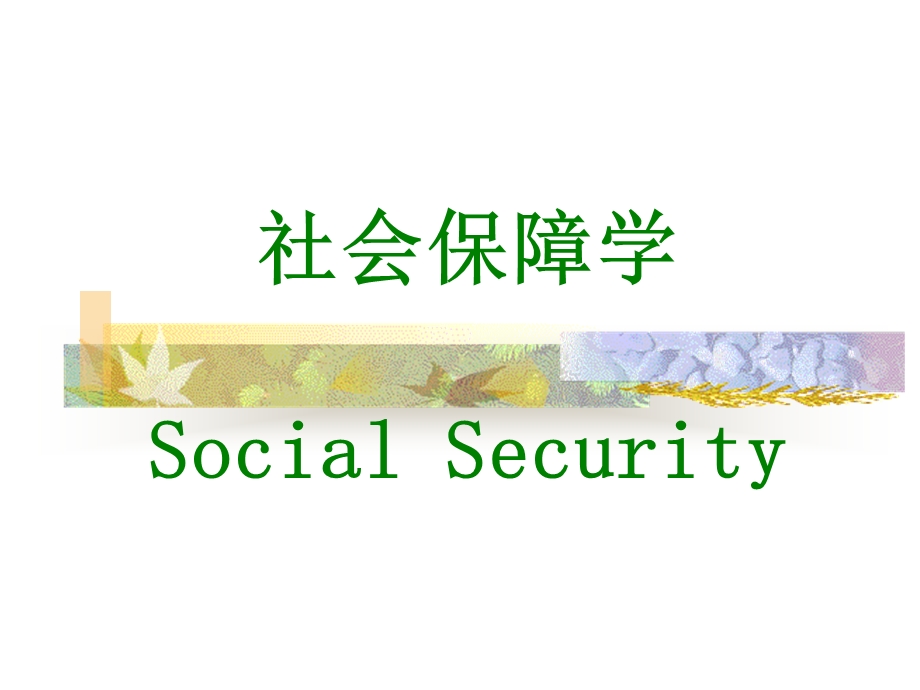 社会保障学SocialSecurity.ppt_第1页