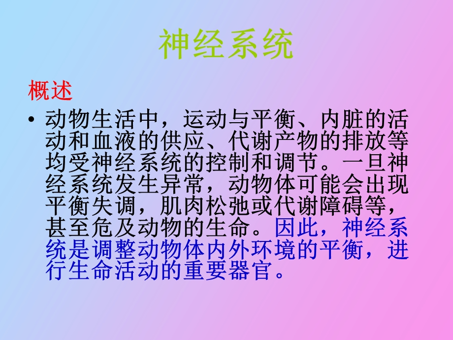 神经系统竞赛.ppt_第2页